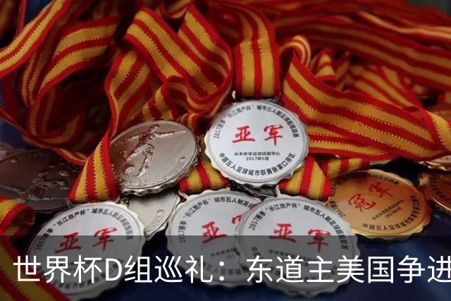 世界杯D组巡礼：东道主美国争进8强 土耳其巴拉圭澳洲混战